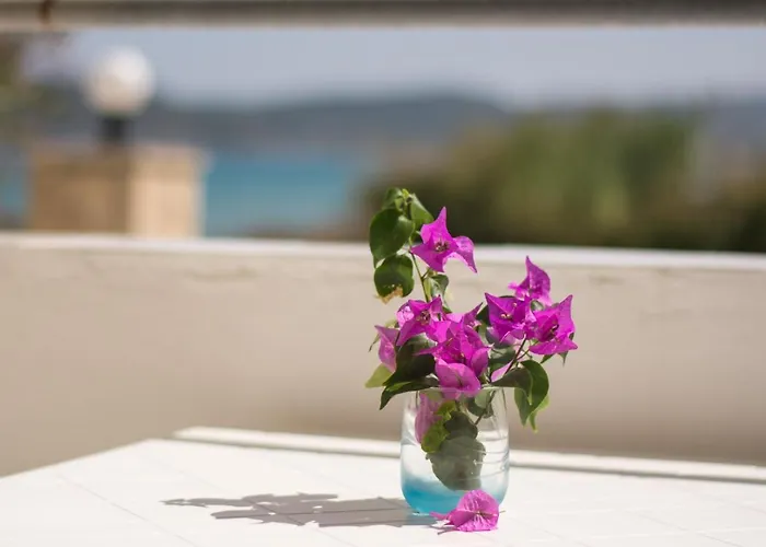 Potamitis House Apartamento *