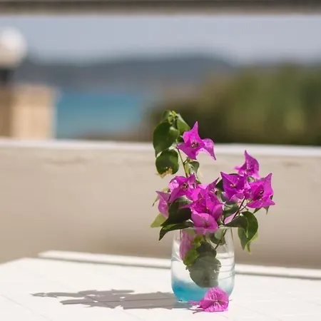 Potamitis House 아파트 *